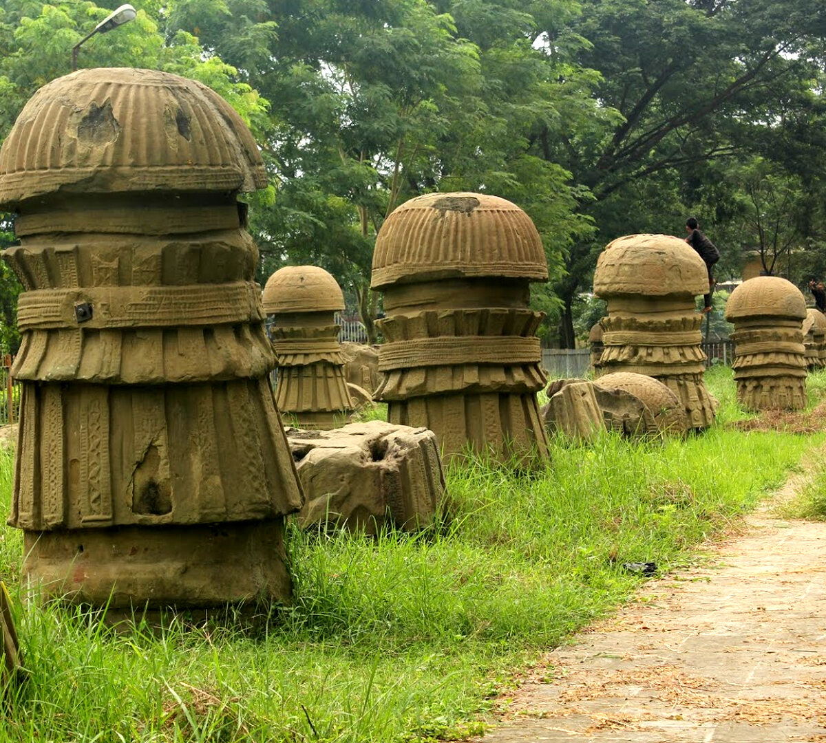 Dimapur