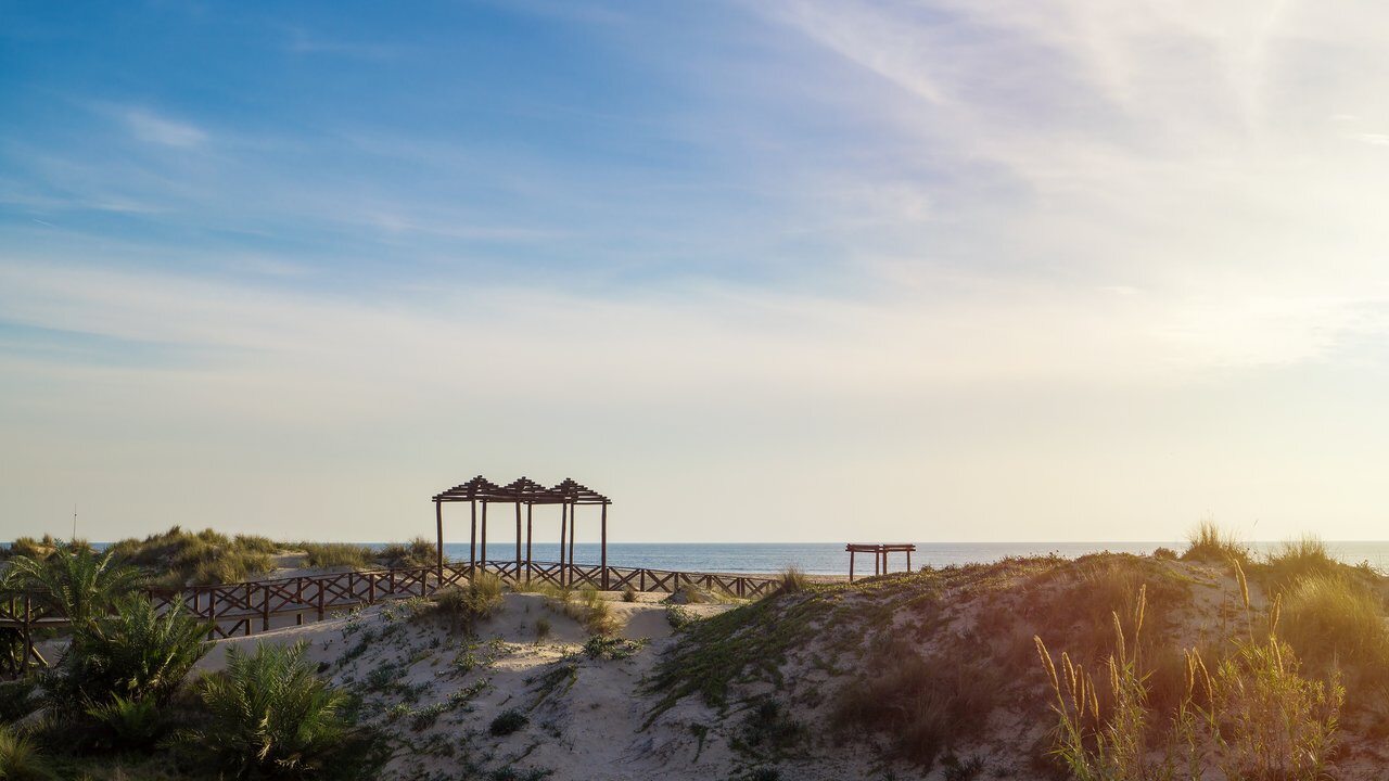 Palmar Sur