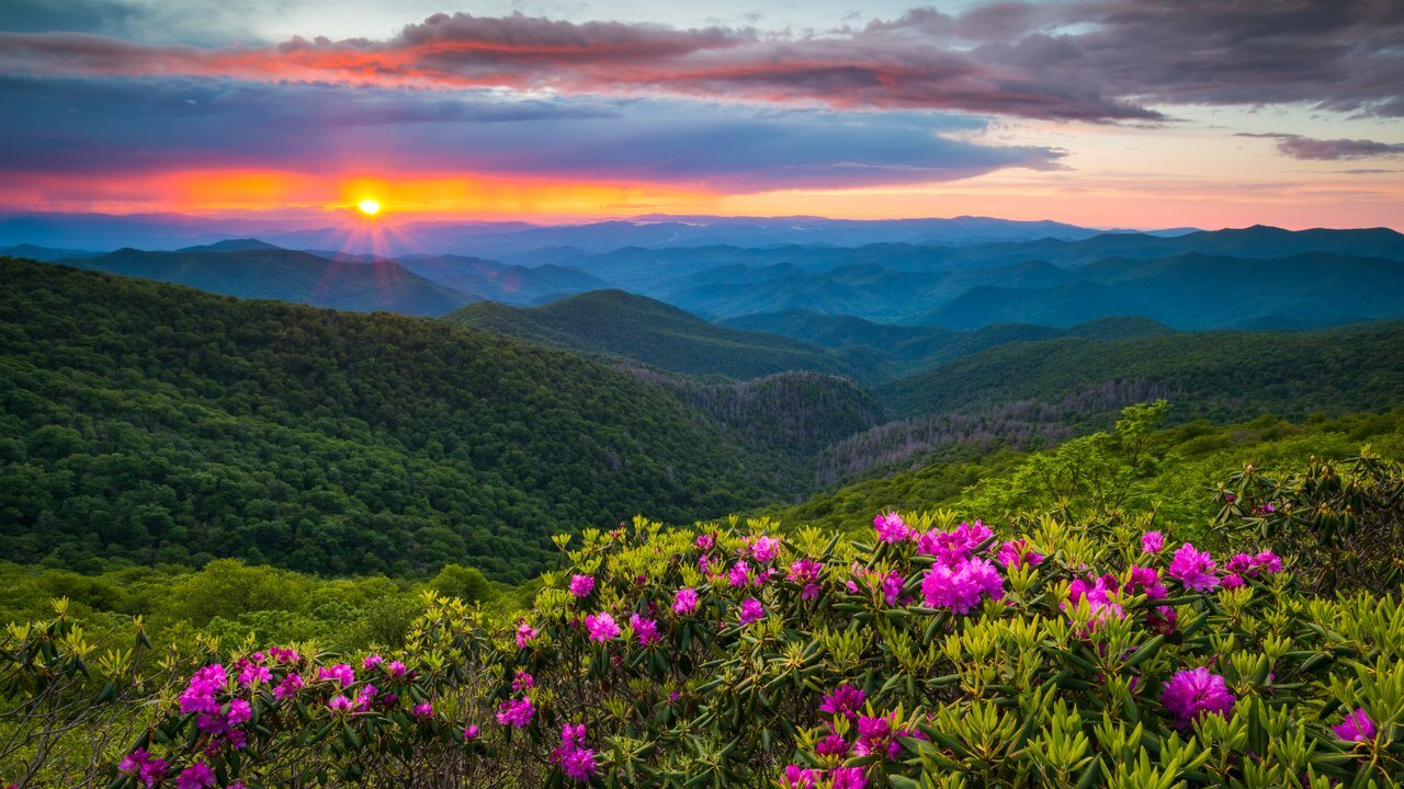 Asheville