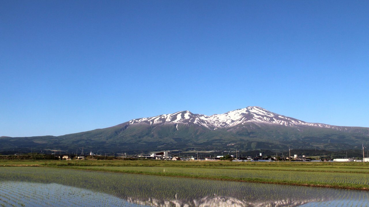 Podprefektura Shōnai