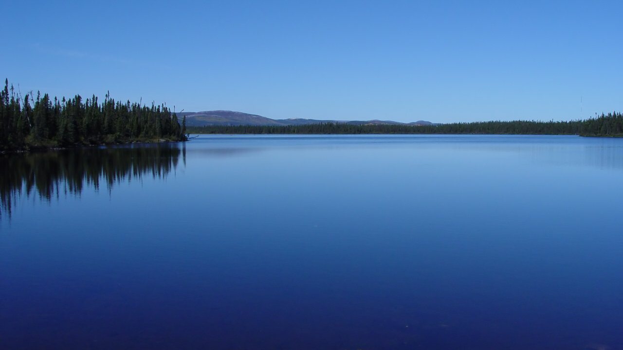 Wabush