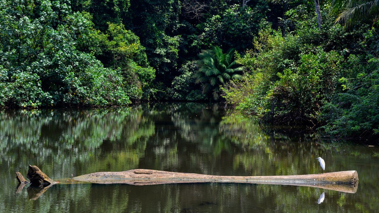 Nuquí