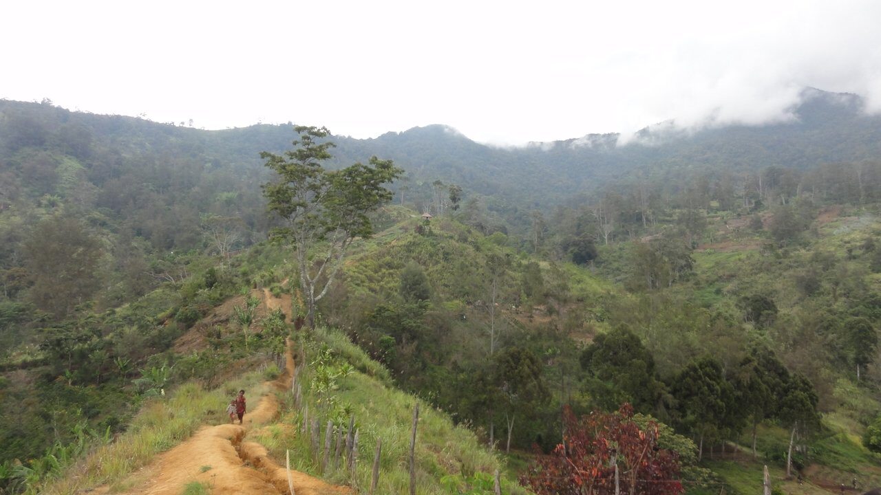Goroka