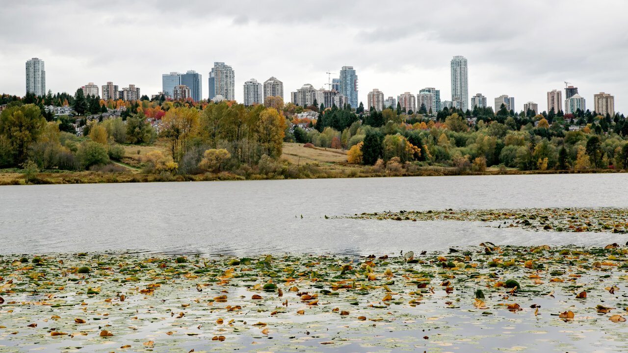 Deer Lake