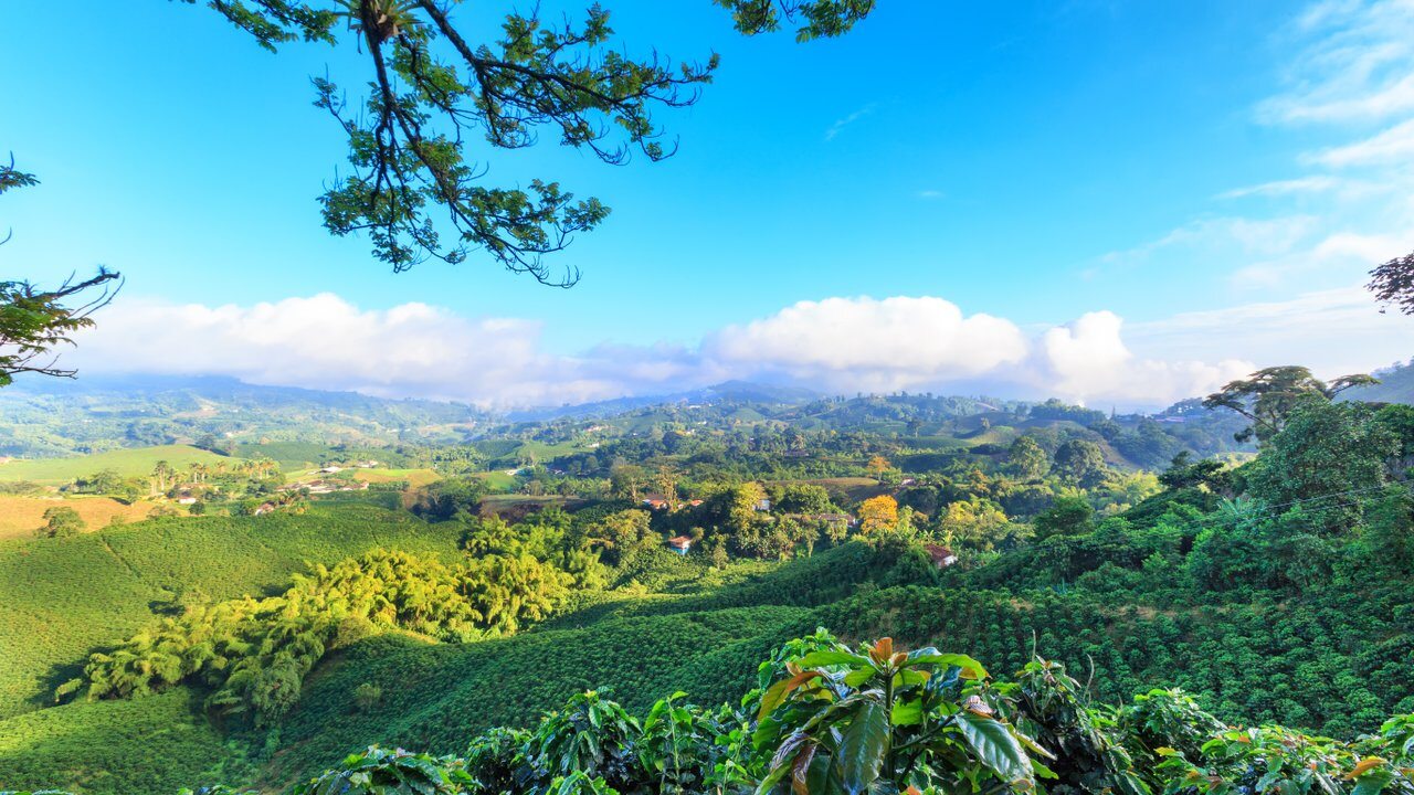 Manizales