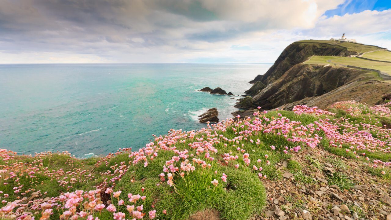 Shetland Islands