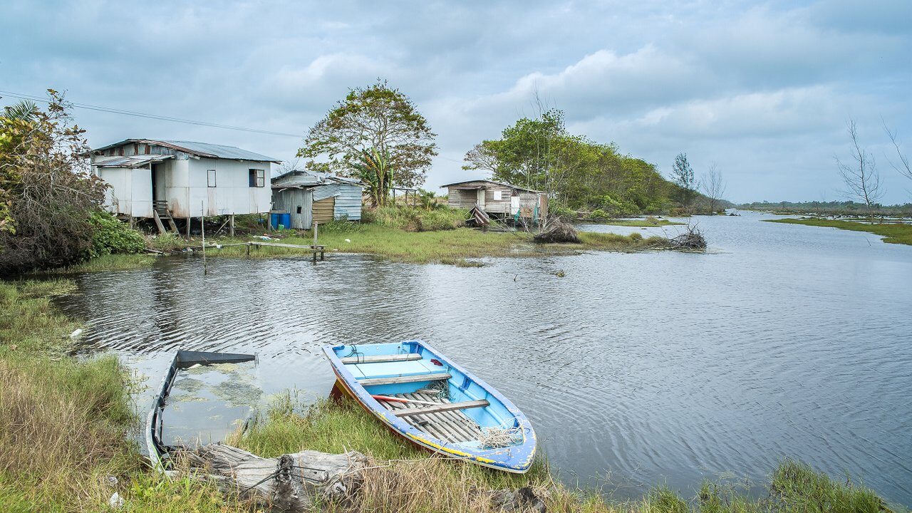 Marudi