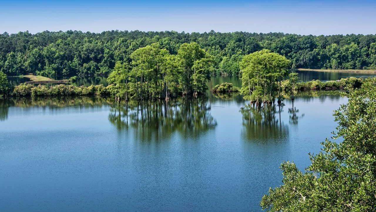 Tallahassee