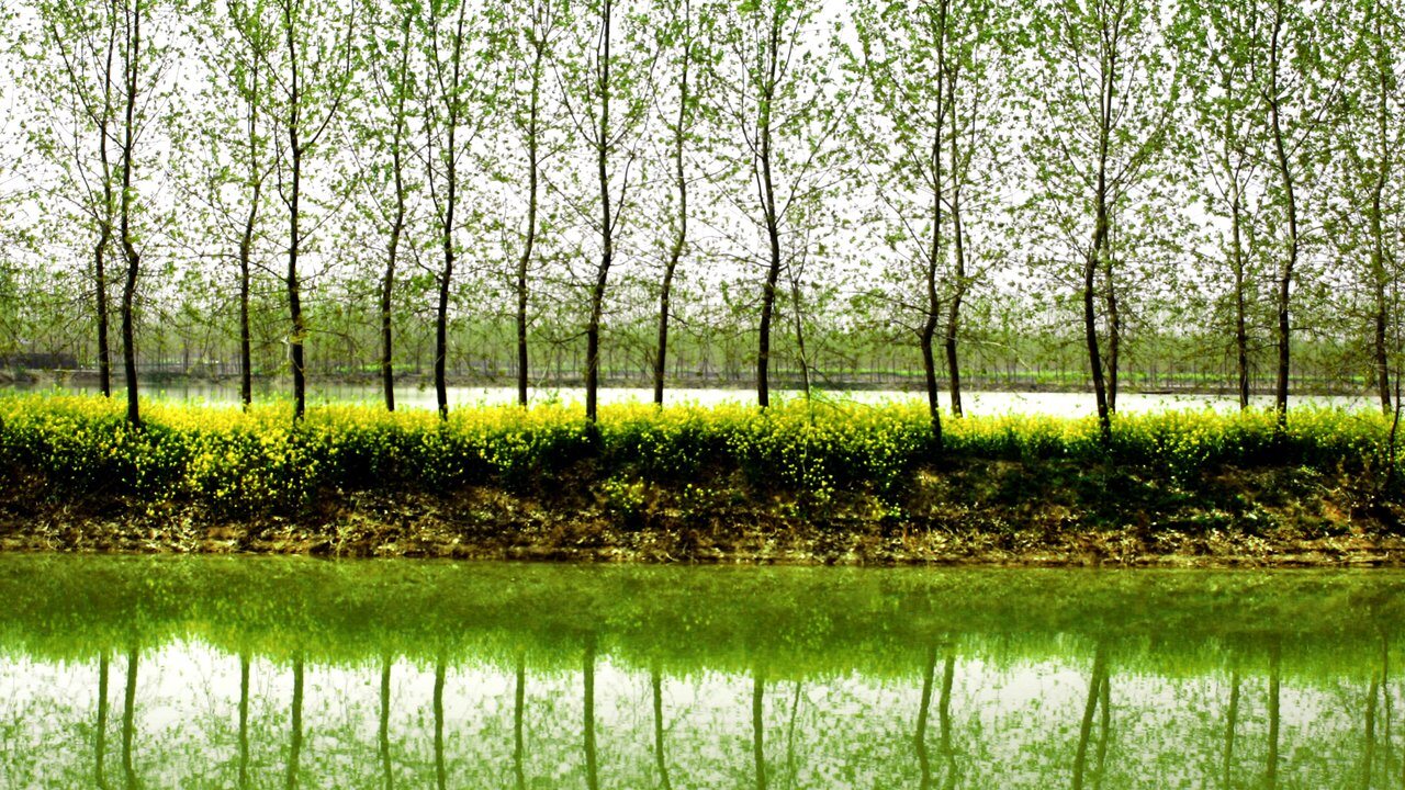 Jining