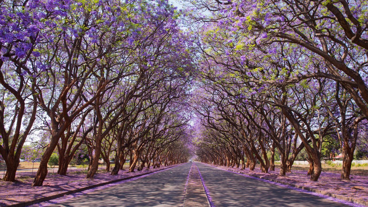 Harare