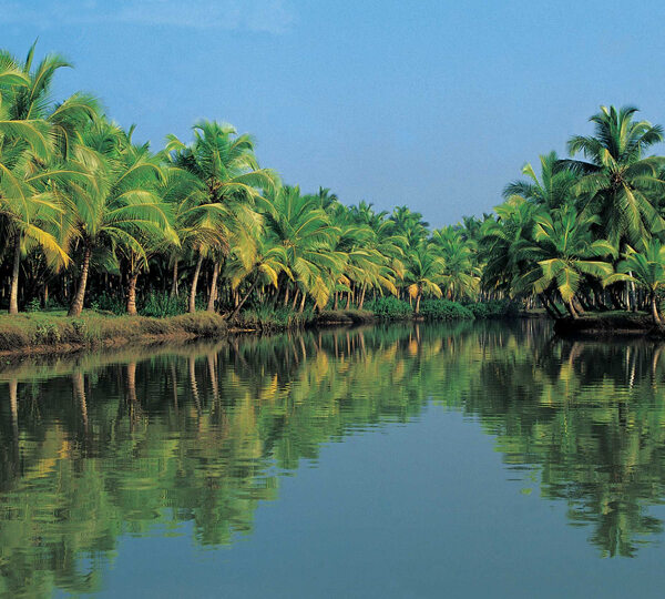 Kozhikode