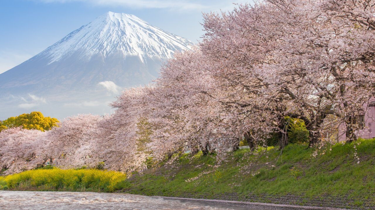 Shizuoka