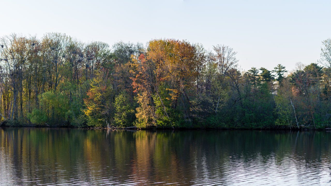 Wausau