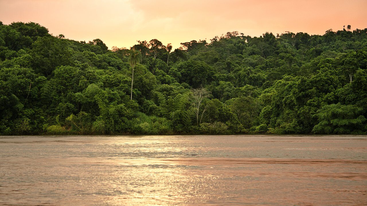 Parana