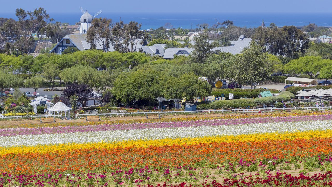 Carlsbad