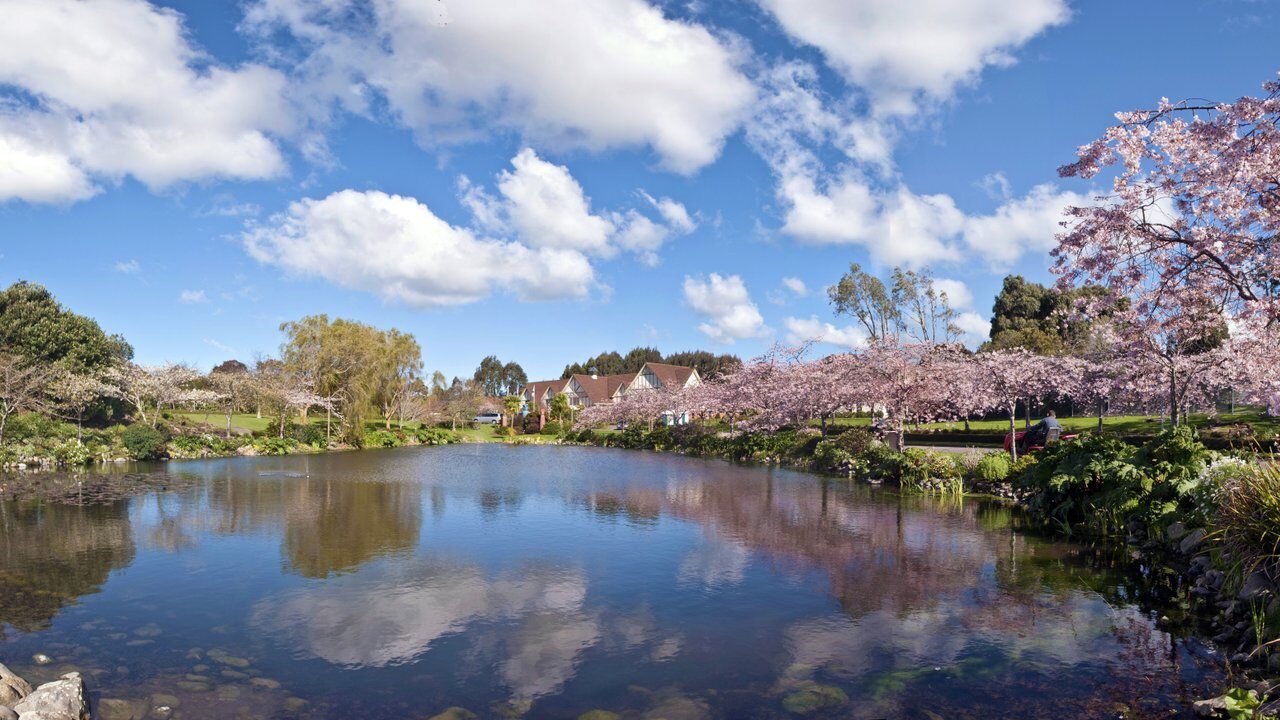 Palmerston North