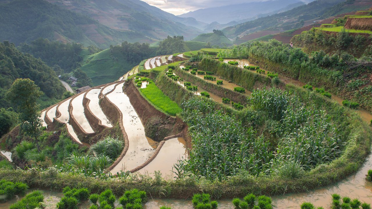 Điện Biên Phủ