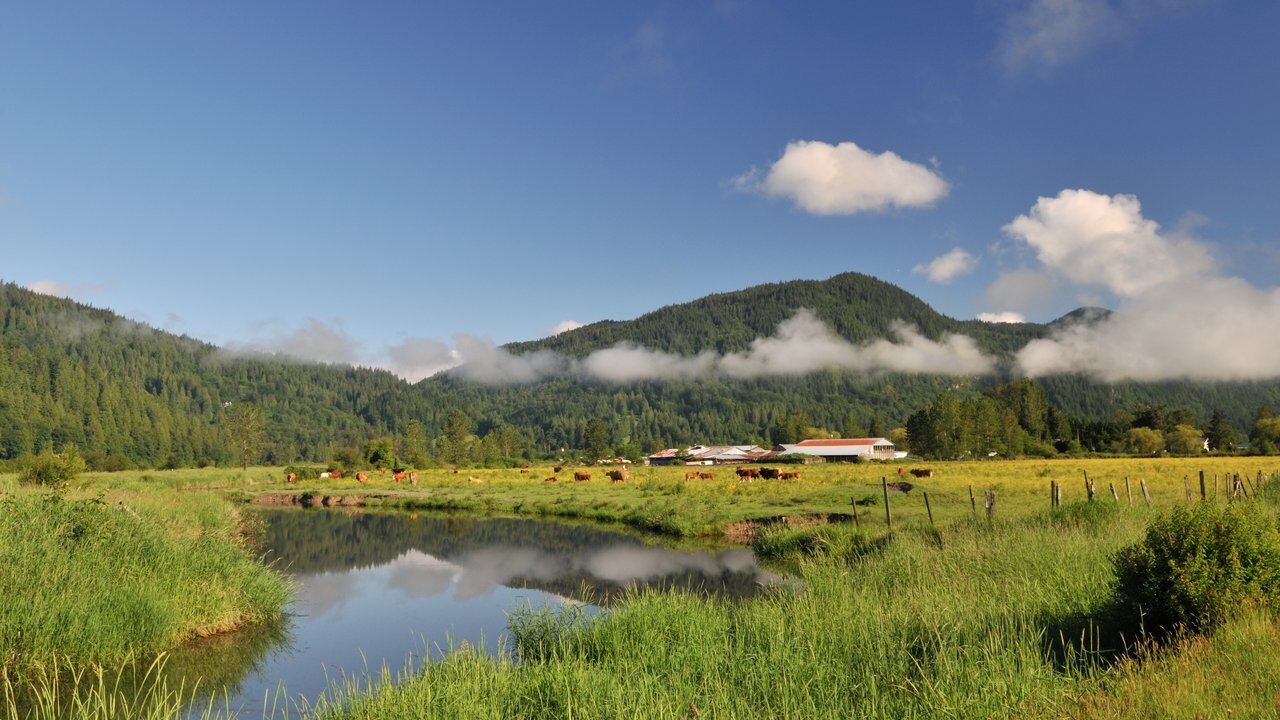 Abbotsford