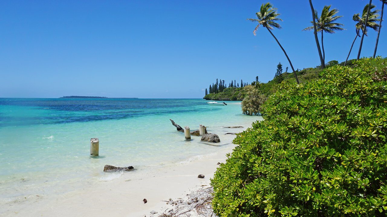 Isle of Pines