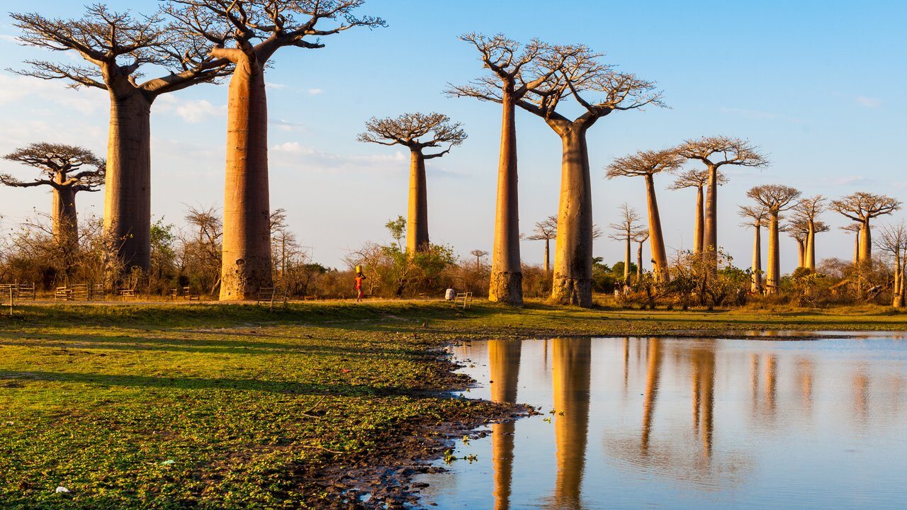 Morondava