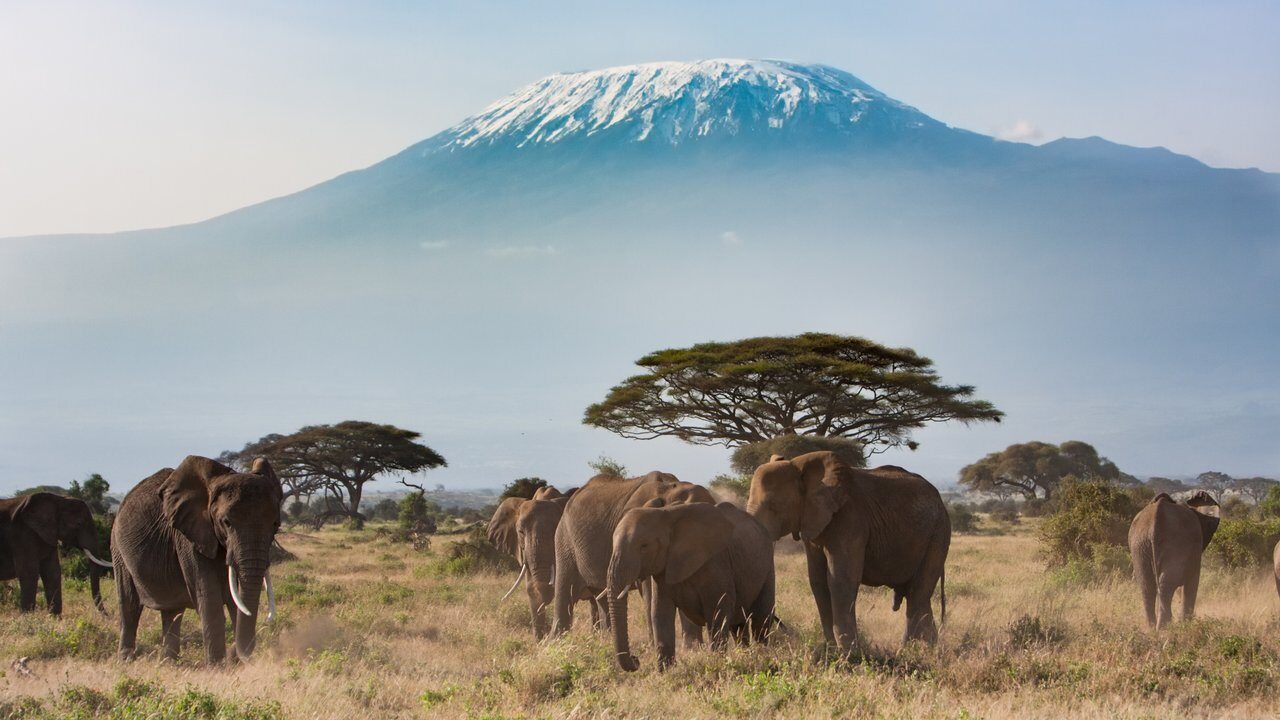 Amboseli National Park
