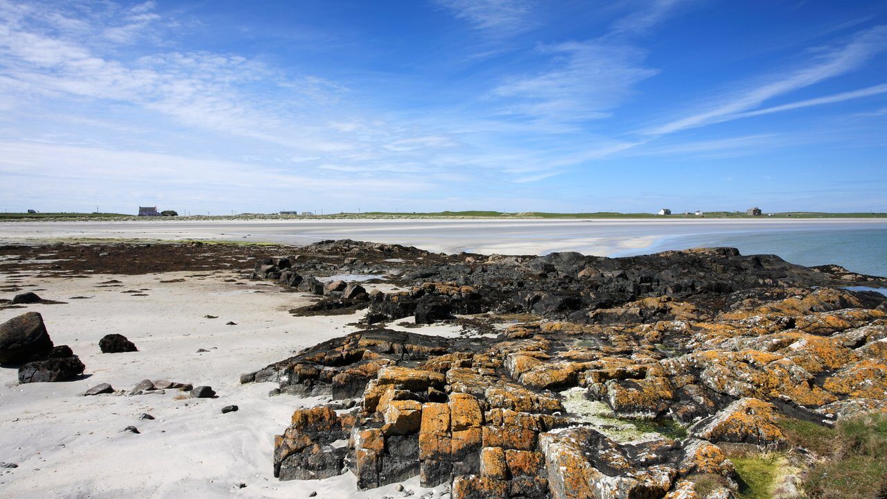 Tiree