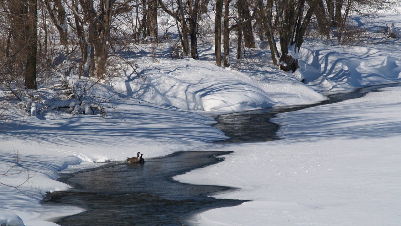Fort Dodge