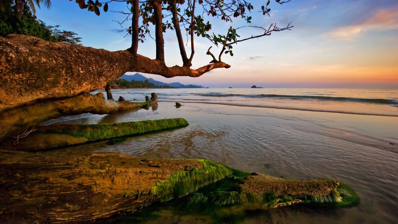 Provincia de Trat