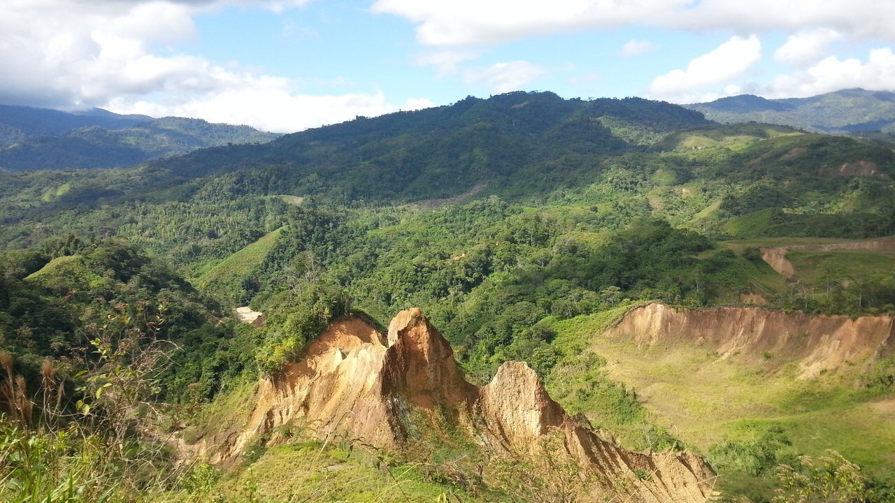 Tingo María
