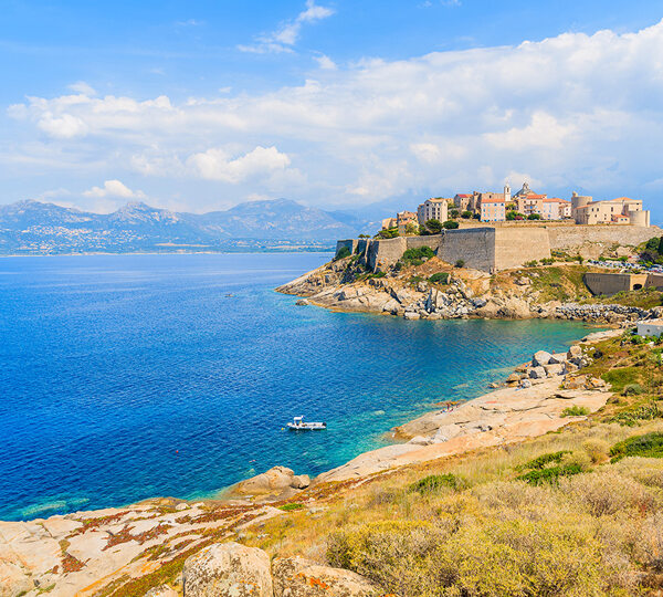 Calvi