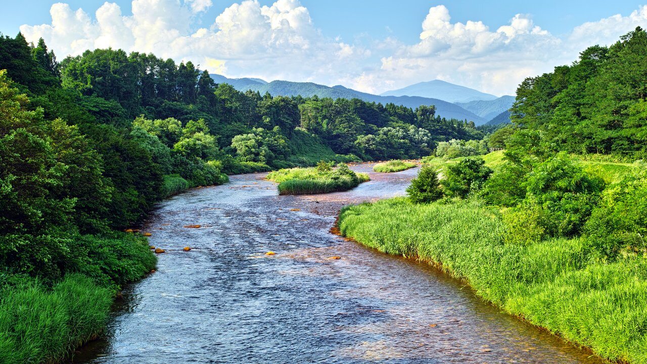 Fukushima