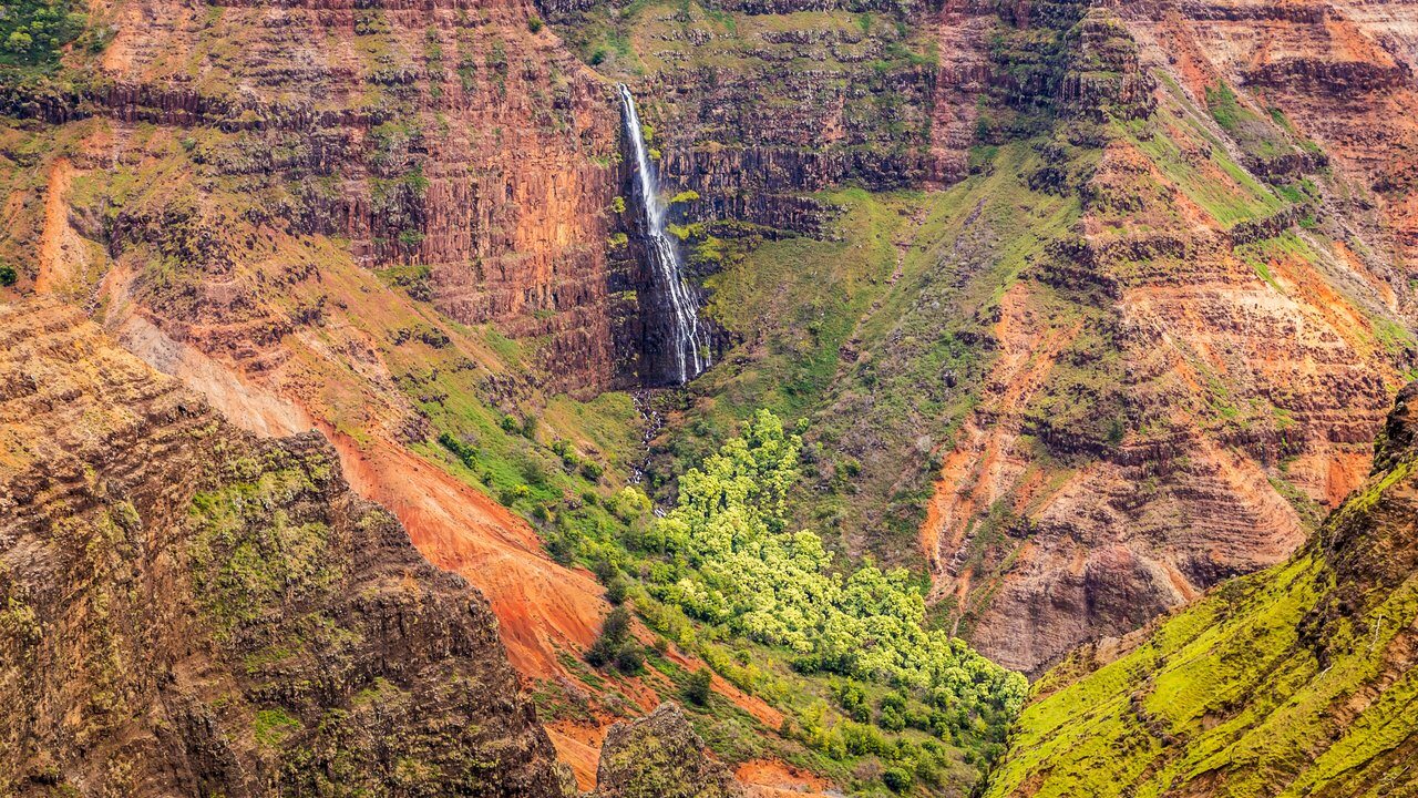 Waimea