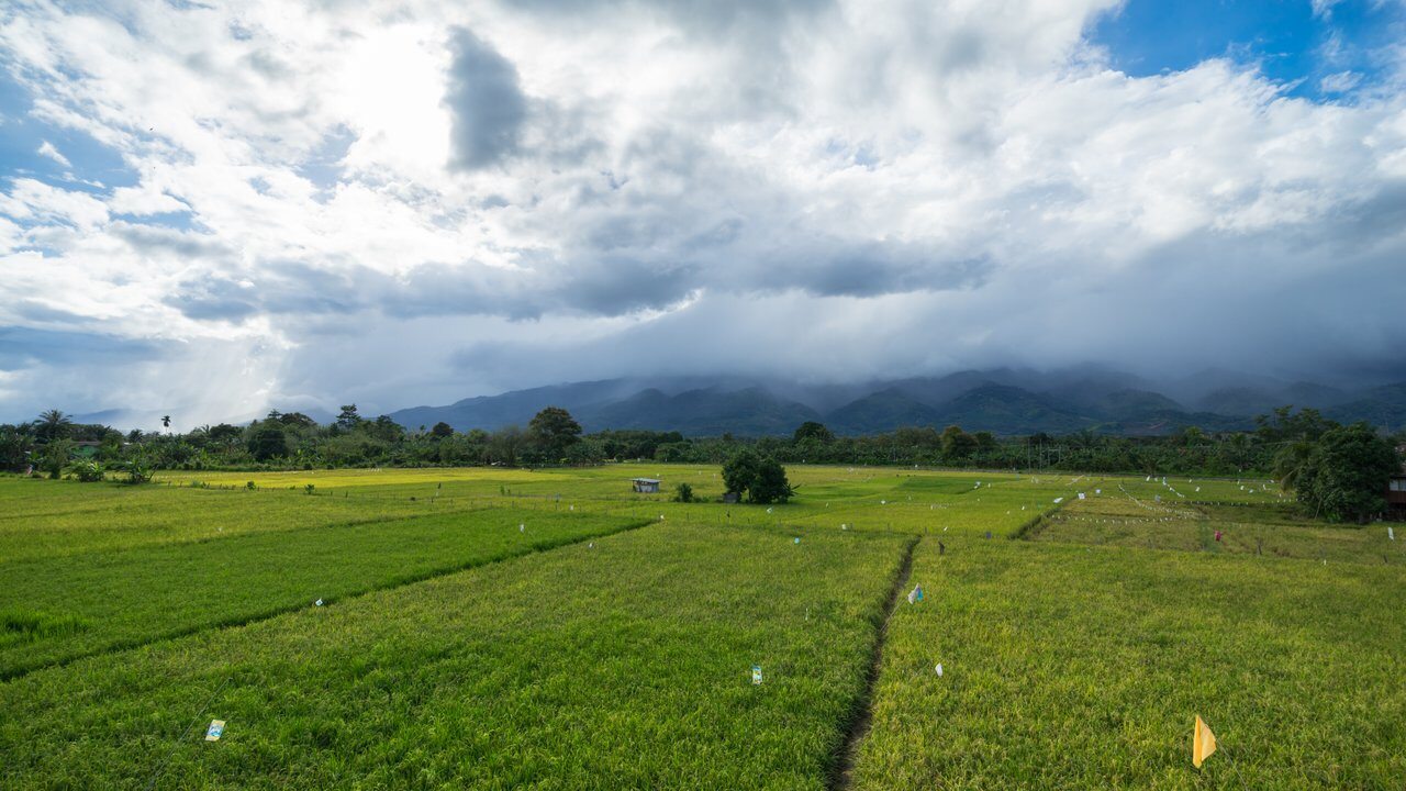 Bario