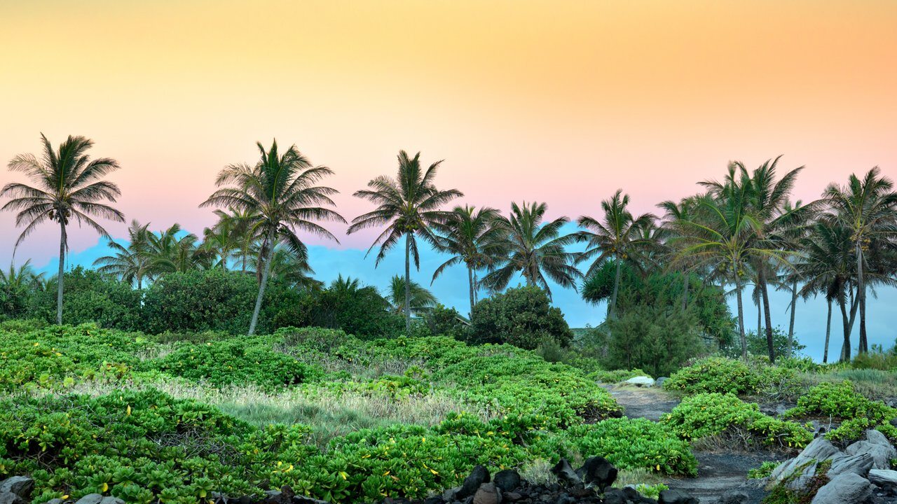 Kapalua