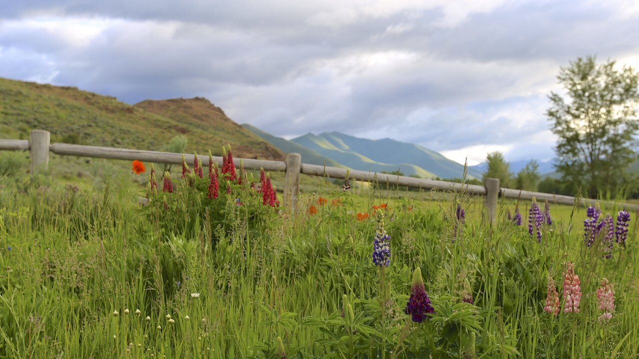 Sun Valley