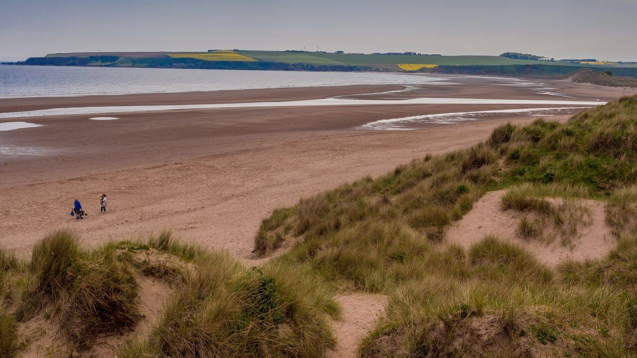 Montrose