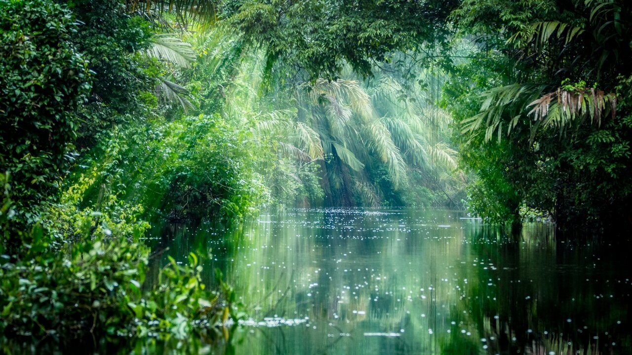 Tortuguero
