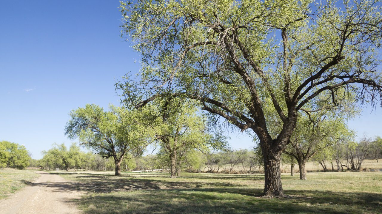 Lubbock