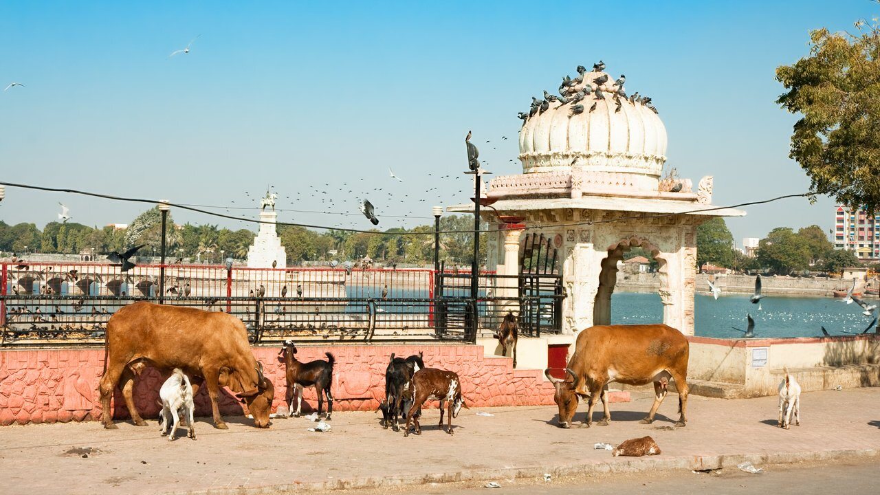 Jamnagar