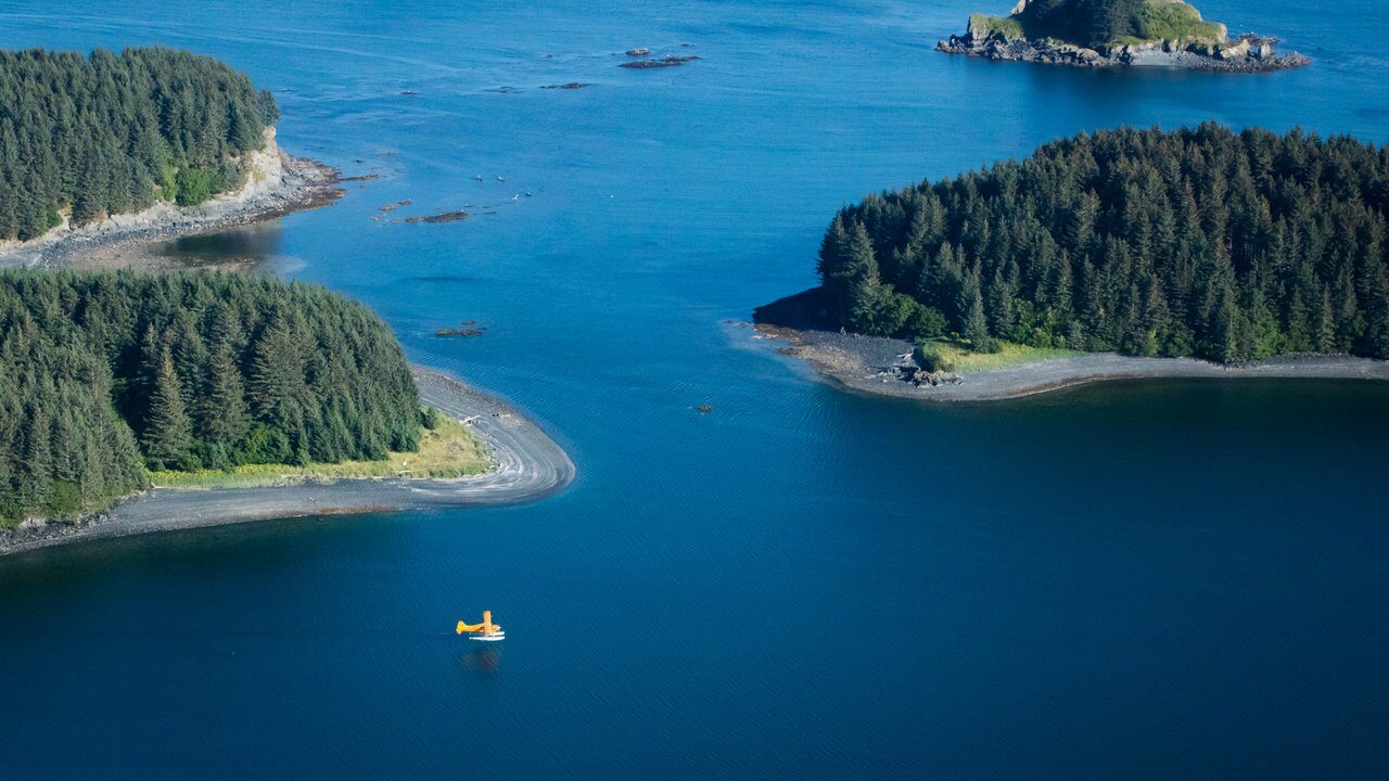 Kodiak