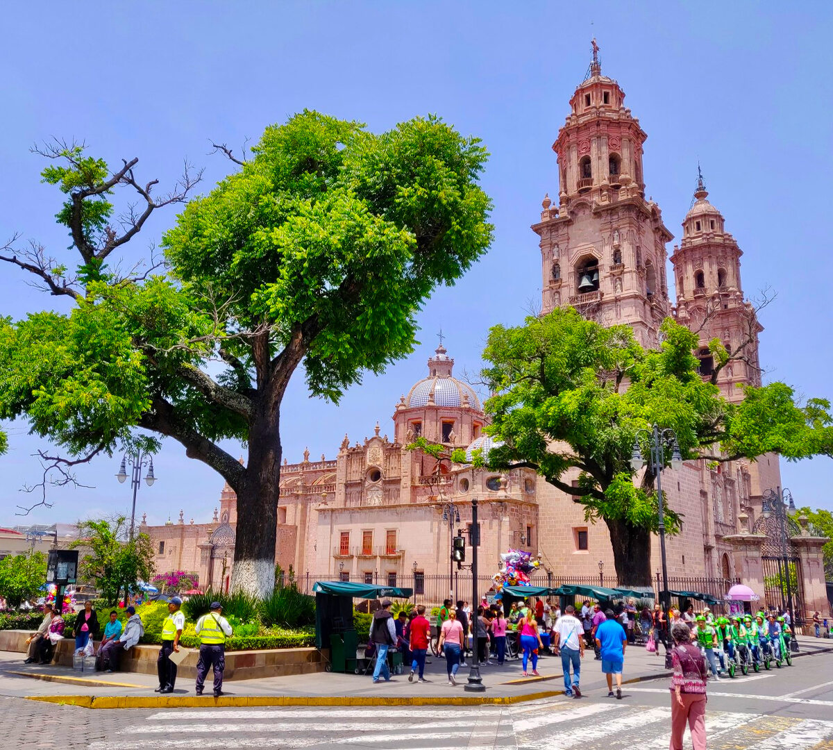 Morelia