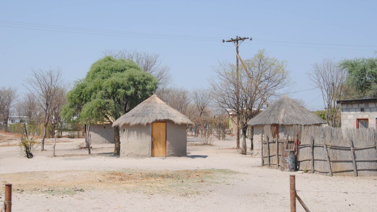 Maun