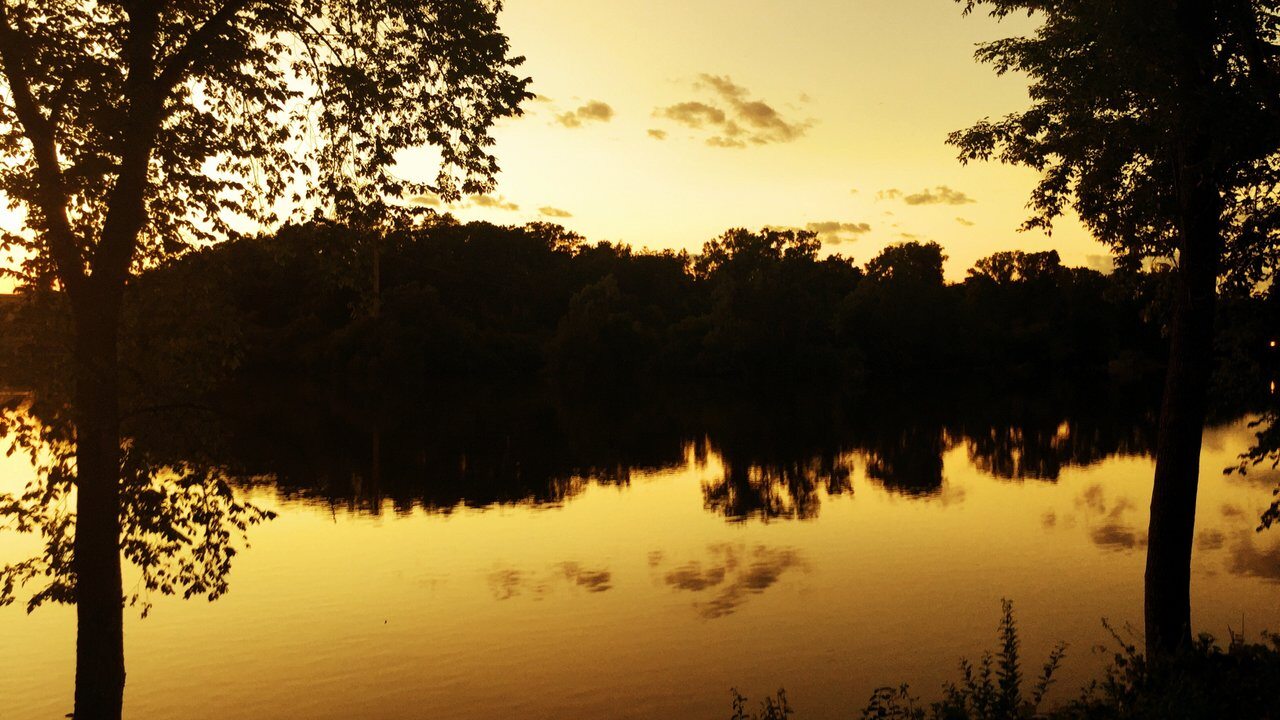 Appleton