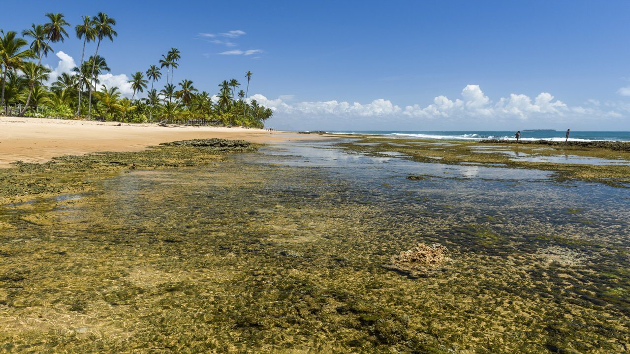 Marau Sound