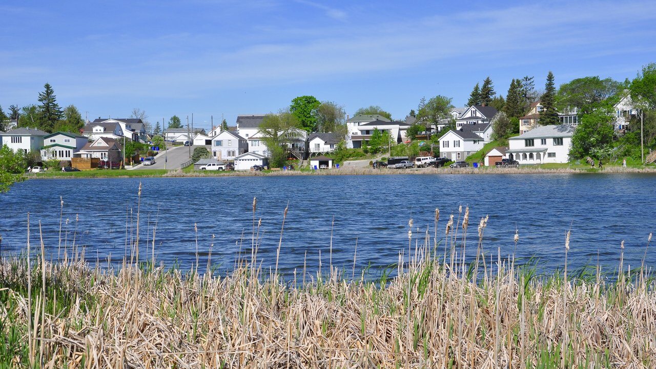 Timmins