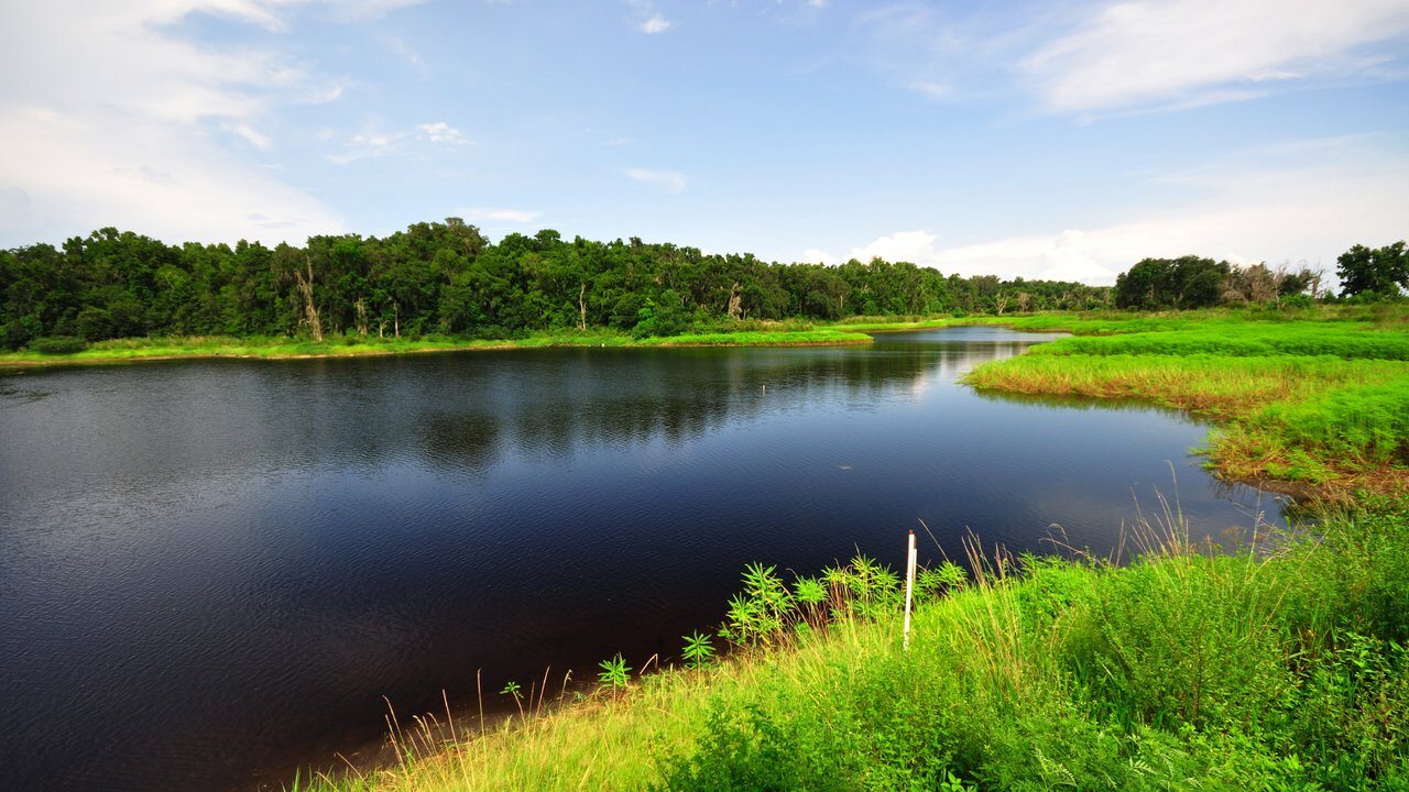 Gainesville