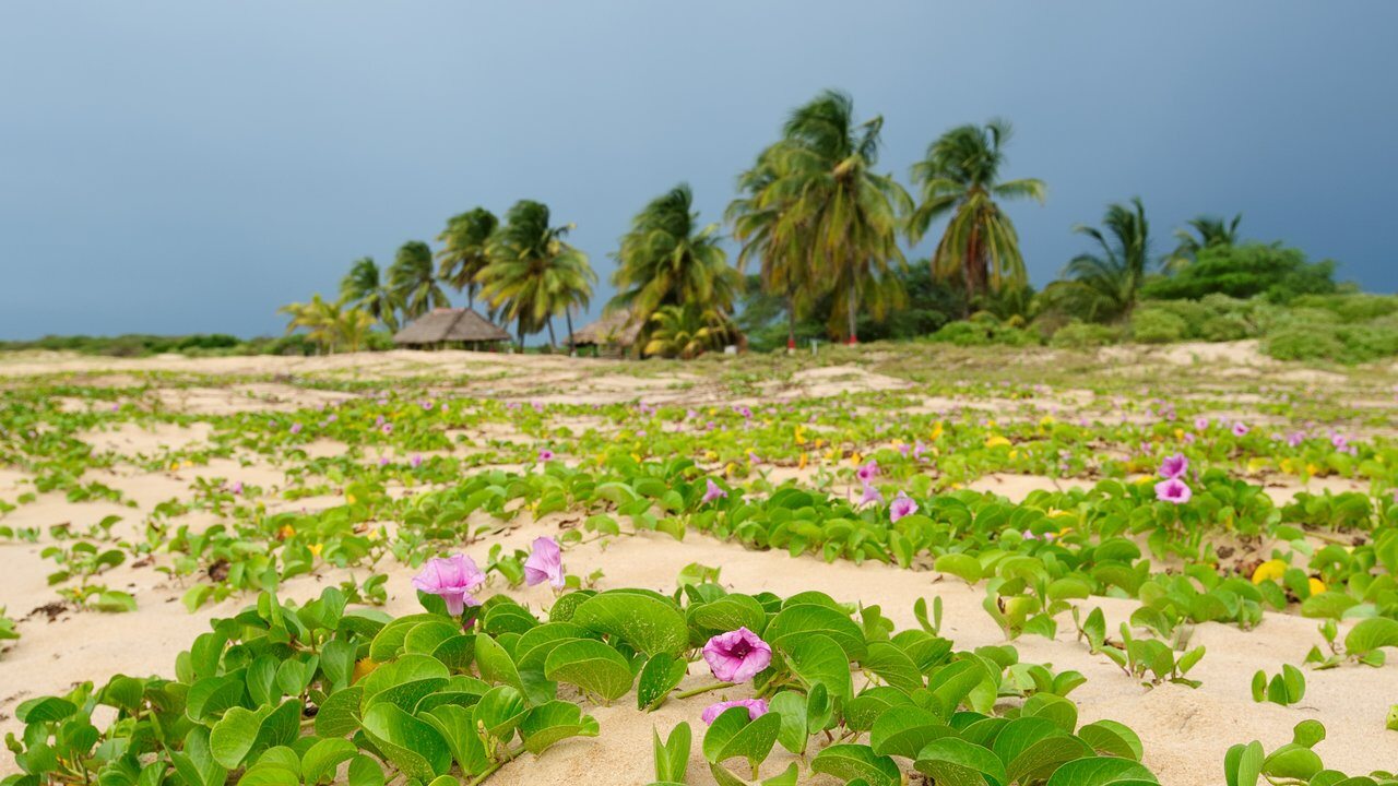 Riohacha