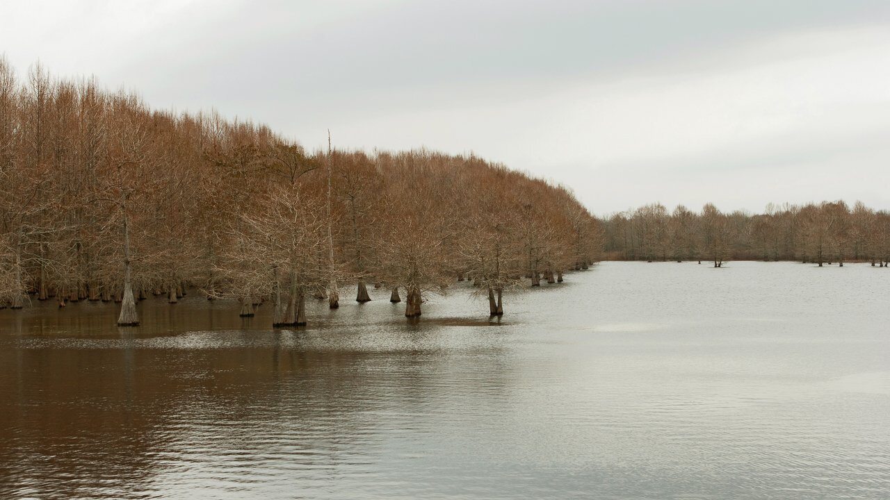 Texarkana