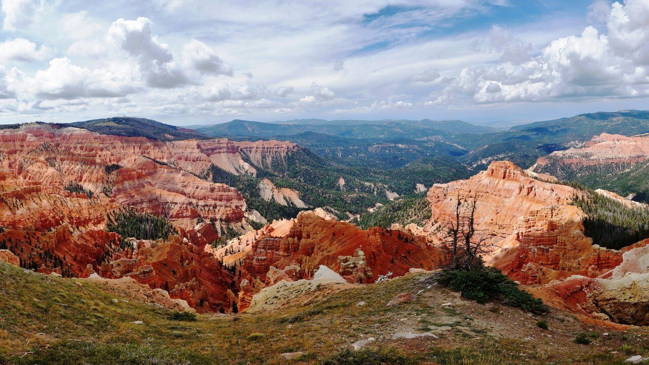 Cedar City
