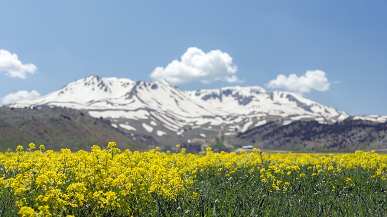 Isparta